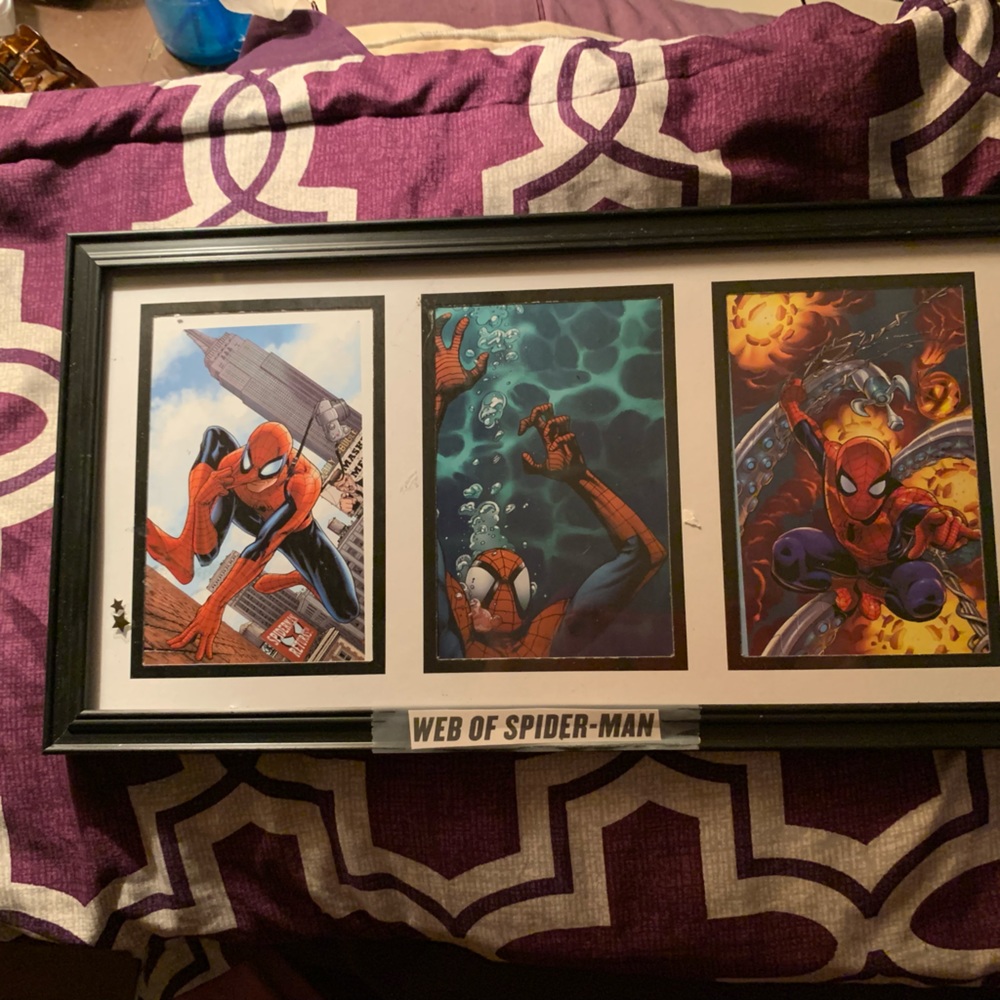 Framed selections from classic spider man comic books